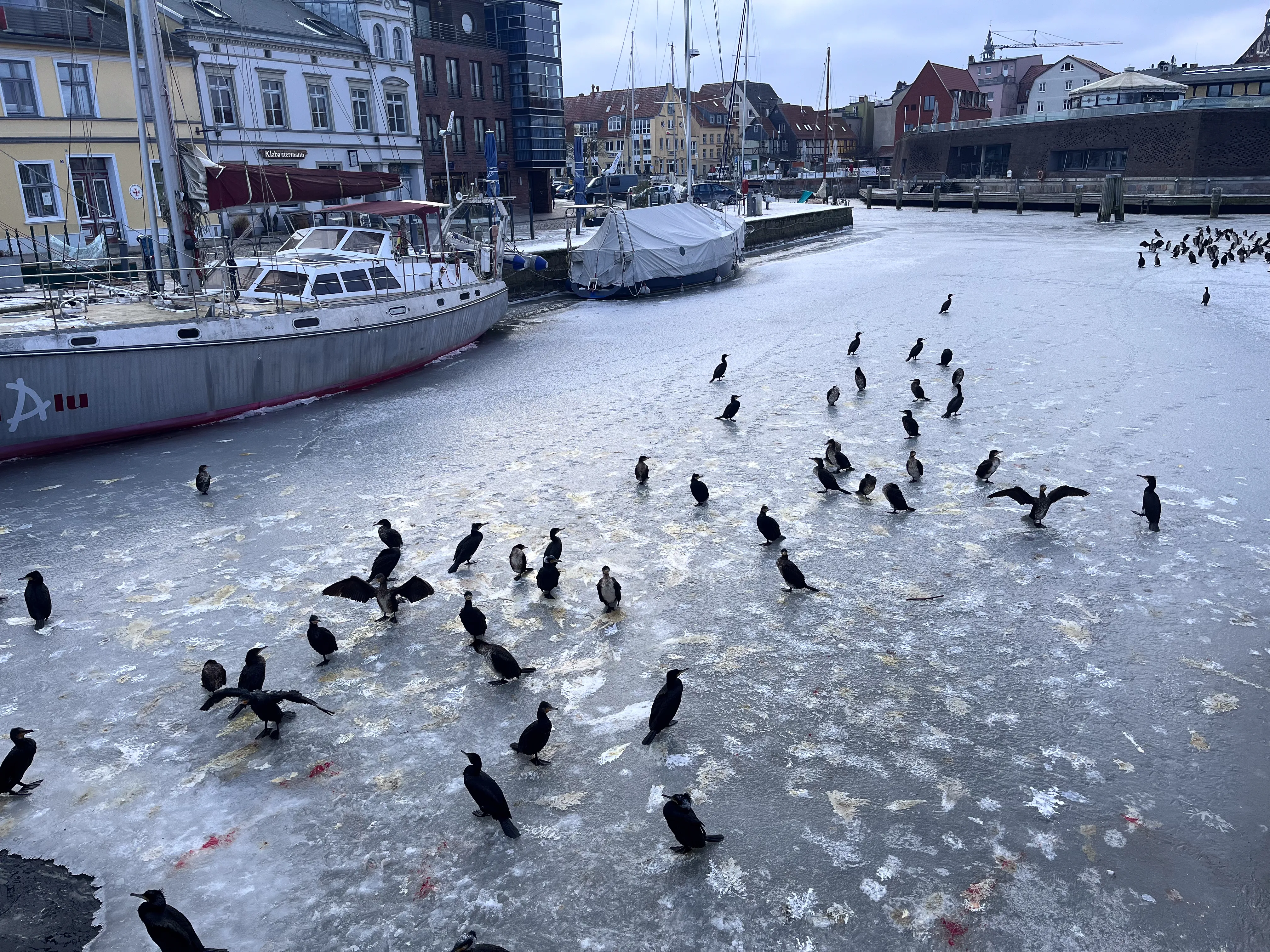 Frozen waters in Stralsund — a different climate than Brittany.
